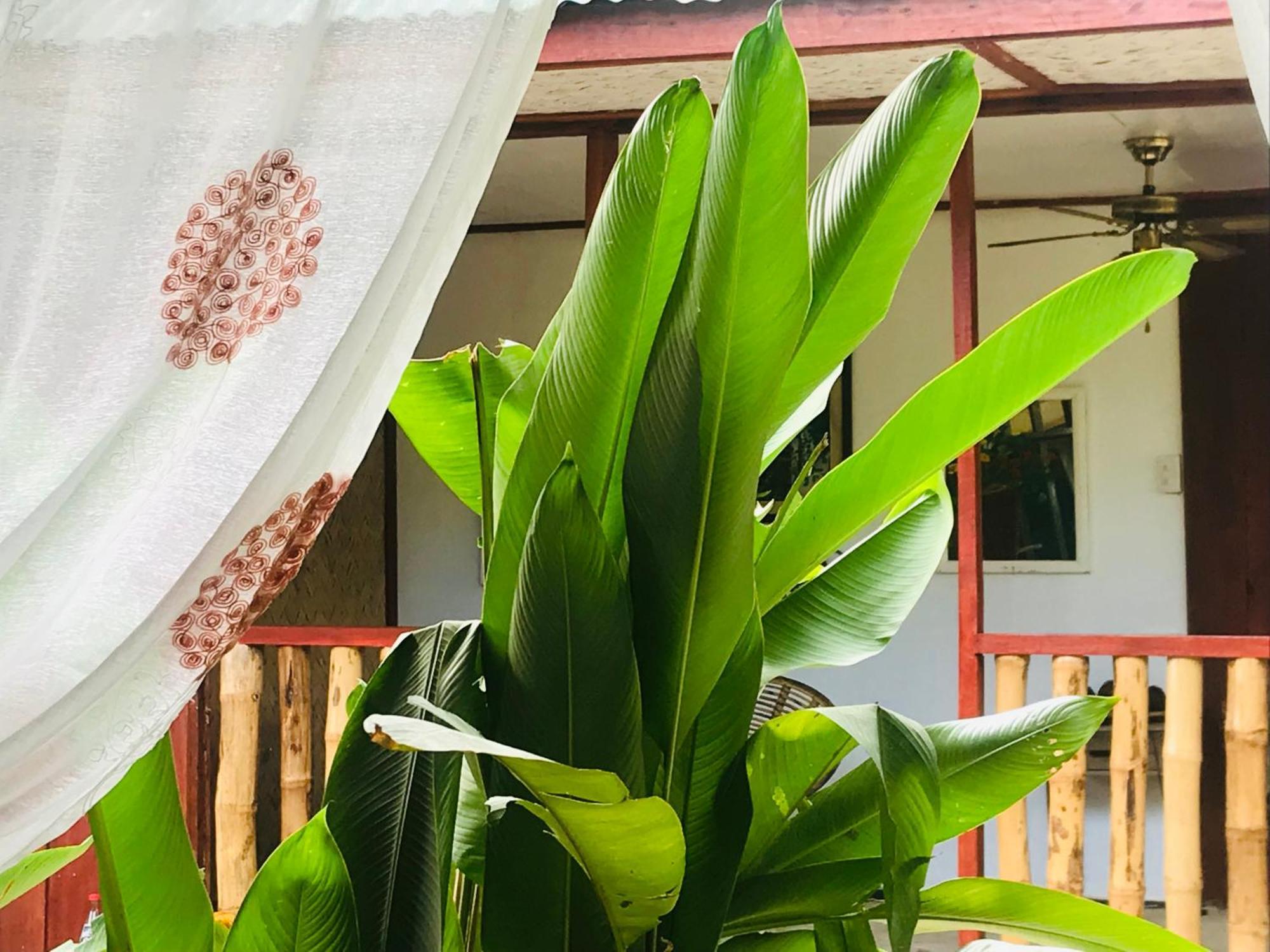 엘니도 Balili Farm At Nacpan B&B 외부 사진
