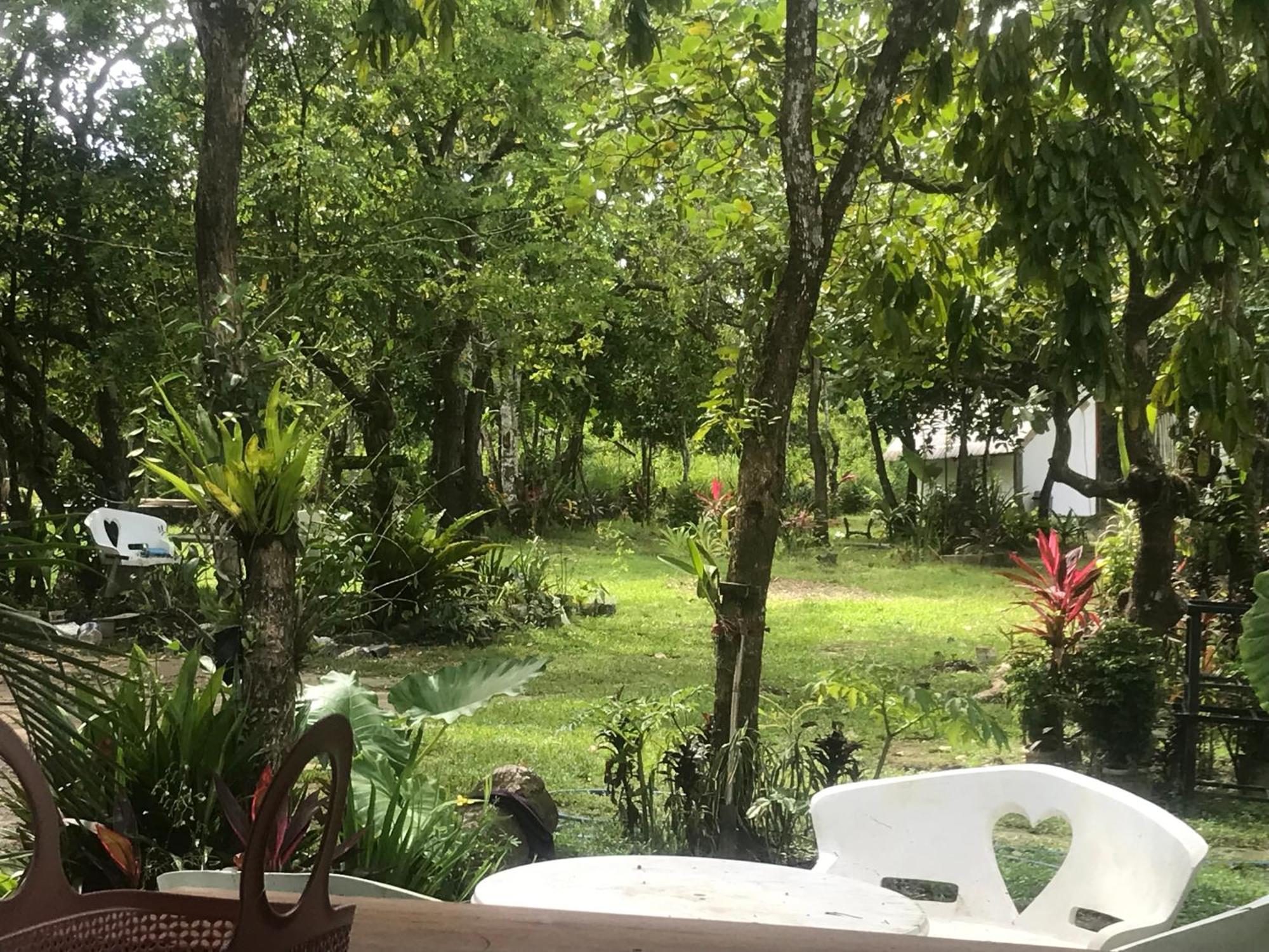 엘니도 Balili Farm At Nacpan B&B 외부 사진